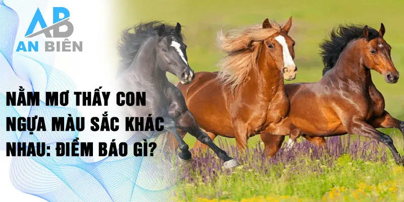 Nằm mơ thấy con ngựa màu sắc khác nhau: Điềm báo gì?