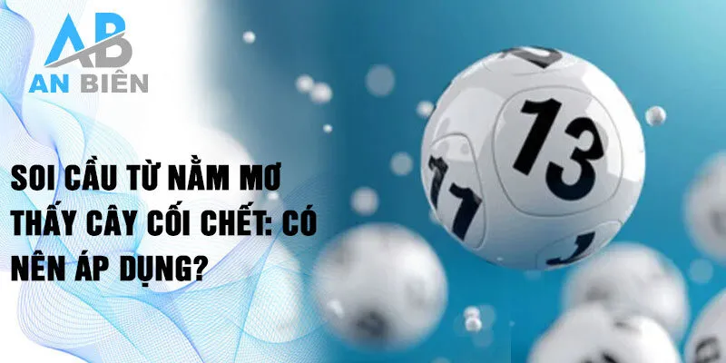 Soi cầu từ nằm mơ thấy cây cối chết: Có nên áp dụng?