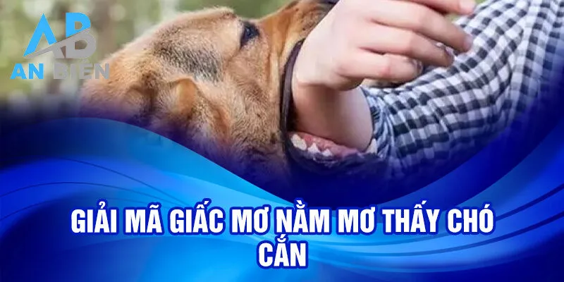 Giải mã giấc mơ nằm mơ thấy chó cắn