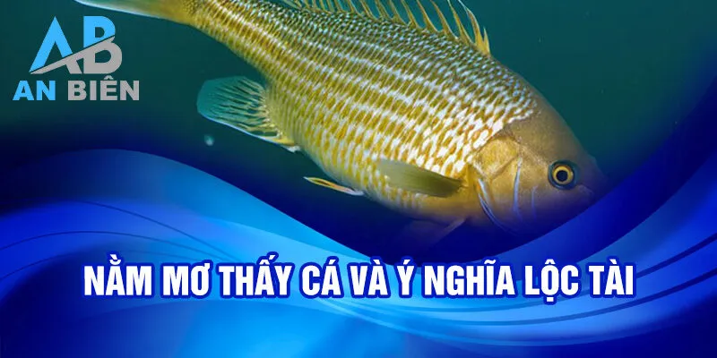 Nằm mơ thấy cá và ý nghĩa lộc tài