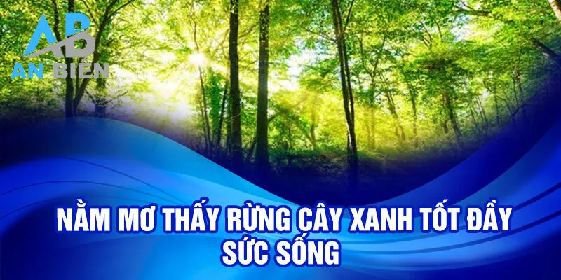 Nằm mơ thấy rừng cây xanh tốt đầy sức sống