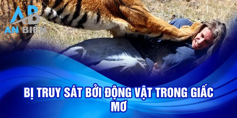 Bị truy sát bởi động vật trong giấc mơ