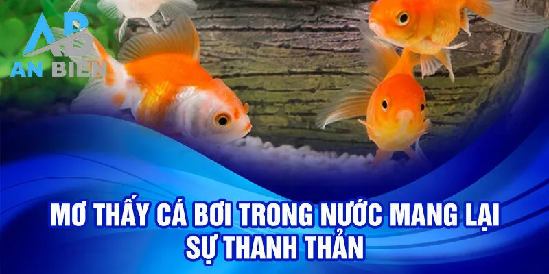 Nằm Mơ Thấy Cá: Bí Ẩn Điềm Báo & May Mắn Ẩn Giấu 2 Mơ thấy cá bơi trong nước mang lại sự thanh thản