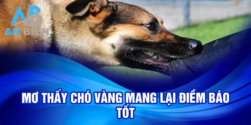 Nằm Mơ Thấy Chó: Bí Mật Ý Nghĩa Và Số May Mắn 2 Mơ thấy chó vàng mang lại điềm báo tốt