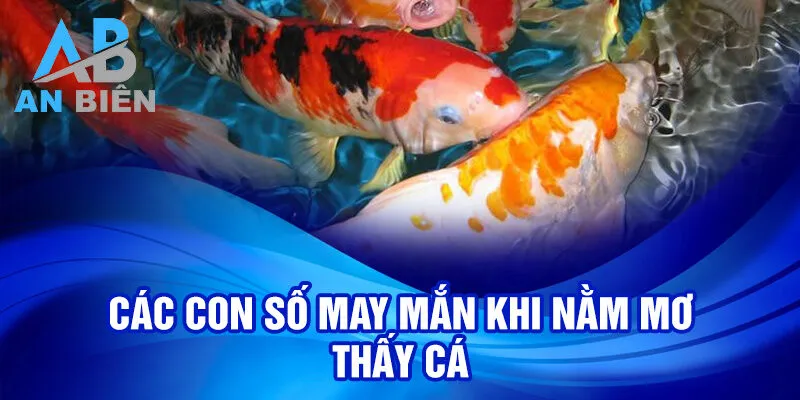 Nằm Mơ Thấy Cá: Bí Ẩn Điềm Báo & May Mắn Ẩn Giấu 3 Các con số may mắn khi nằm mơ thấy cá