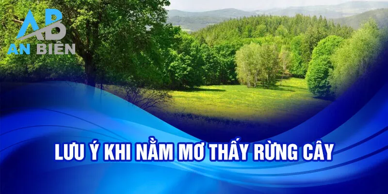 Nằm Mơ Thấy Rừng Cây: Khám Phá Số Phận Và Ý Nghĩa 3 Lưu ý khi nằm mơ thấy rừng cây
