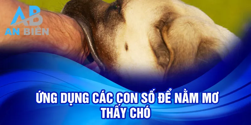 Nằm Mơ Thấy Chó: Bí Mật Ý Nghĩa Và Số May Mắn 3 Ứng dụng các con số để nằm mơ thấy chó